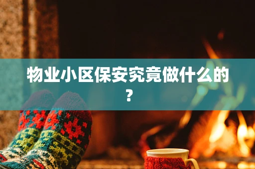 物业小区保安究竟做什么的？